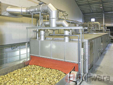 Continuous potato steaming and cooling equipment